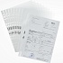 Файл с перфорацией Durable Premium, 80 мкм, А4, полипропилен, глянцевый, 100 штук