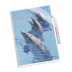 Папка-уголок на 3 раздела с табуляторами Durable, А4