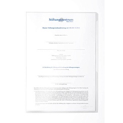 Папка-уголок для документов Durable, 150 мкм, A4, глянцевая