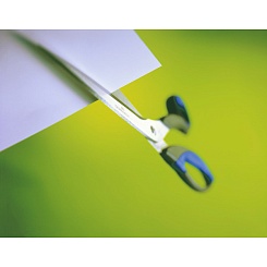 Ножницы канцелярские Durable Supercut, 25 см, нержавеющая сталь